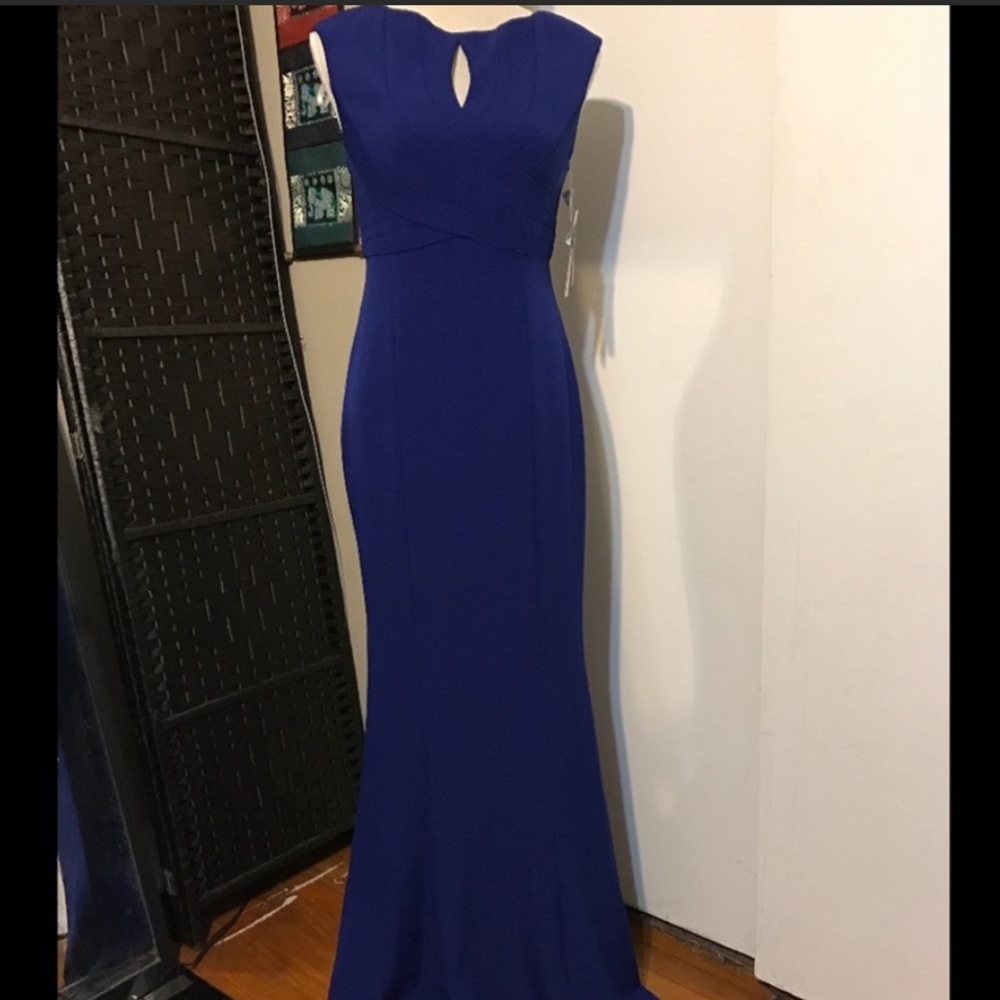 Stunning blue mermaid dress